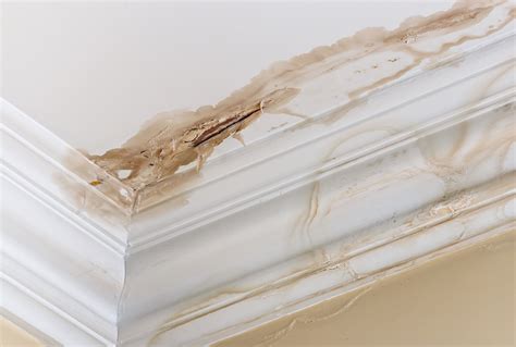 water damage baseboard|How to Fix Water Damaged Baseboards In Your。